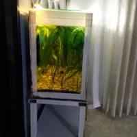 فروش آکواریوم 1متردر40در60