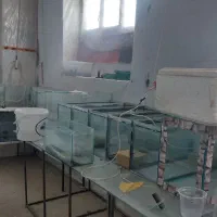 آکواریوم سالن تصفیه آب فیلتر