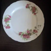 بشقاب گل سرخی|ظروف سرو و پذیرایی|اصفهان, باغ فدک|دیوار