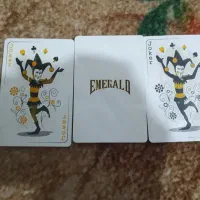 پاستور ۵۲ با جوکر|کلکسیون و سرگرمی|محلات, |دیوار