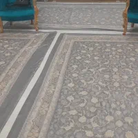 فرش ۶متری|فرش|رشت, کوی جام جم|دیوار