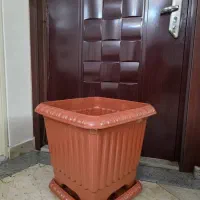 گلدان pvc بزرگ|گل و گیاه طبیعی|تهران, یوسف‌آباد|دیوار