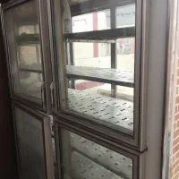 فریزر برای مرغ فروشی