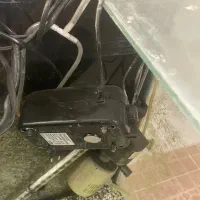 آکواریوم ماهی بزرگ و جا دار|ماهی|بروجن, |دیوار