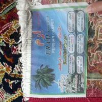 فرش ۶متری|فرش|کیاشهر, |دیوار