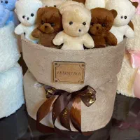 بوکت خرسی  ولنتاین