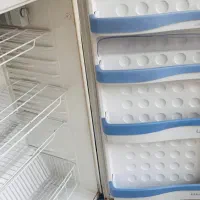 یخچال و فریز سایوان (SAiwan)|یخچال و فریزر|برازجان, |دیوار