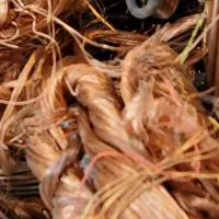 خریدار کتاب و کاغذ باطله و ضایعات فلزی در محل|عمدهفروشی|تبریز, |دیوار