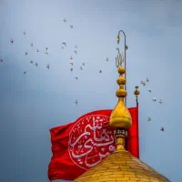 کربلا فوری دو‌سر زمینی درجه الف (نقد و اقساط)