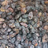 مویزدیم شهددار،آبدارشیزاز|خوردنی و آشامیدنی|اسلامشهر, شهرک الهیه|دیوار