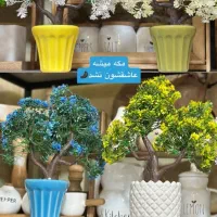 انواع درختچه،بنسای،ریسه،گلدانهای تزئینی|گل مصنوعی|تبریز, |دیوار