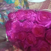 رز هلندی|گل مصنوعی|برازجان, |دیوار