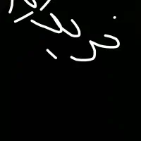 فرش 12متری و 6متری|فرش|بهار, |دیوار