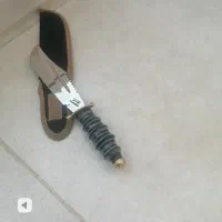 زیبا و خوشرنگ تعداد موجود