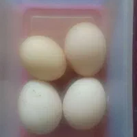 تخم مرغ لاری درجه یک