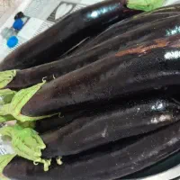 بادمجان سرخ کرده شیرین