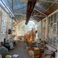 گلخانه پیشرفته|فروش دفتر صنعتی، کشاورزی، تجاری|فریمان, |دیوار