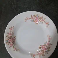 ظروف آشپزخانه|ظروف سرو و پذیرایی|سامان, |دیوار