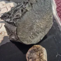 شهابسنگ مریخی