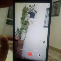 هوایی پی 8 لایت|موبایل|تربتحیدریه, شهرک ولیعصر|دیوار