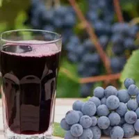 اب انگور سیاه طبیعی|خوردنی و آشامیدنی|رشت, استادسرا|دیوار