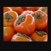 خرمالو محلی و شیرین