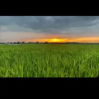 زمین-معین-آباد-آران