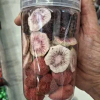 میوه خشک ویوافروت