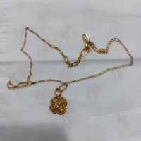 زنجیر.پلاک   فقط تعویض