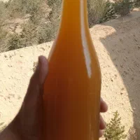 آبغوره خانگی (اضافه آمده)
