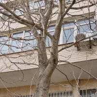 90-متر-3-اتاق-موقعیت-اداری-کریم-خان-خ-آبان