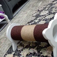 اسکرچر و تونل بازی گربه/چند کاره