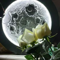 تابلوی ماه و ماه آینه