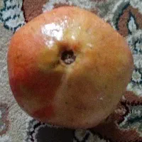 انار