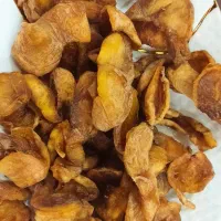 برگه زردآلو تازه ارگانیک و خوش خوراک|خوردنی و آشامیدنی|تهران, کرمان|دیوار