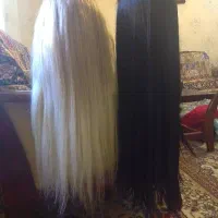 کله مانکن برا کوتاهی و شینیون