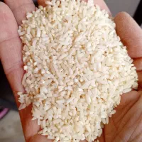 برنج نیمدانه لاشه صدری هاشمی(( کم دودی))