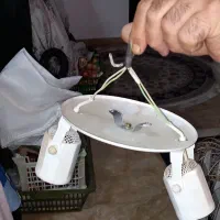 تعدادی پایه چراغ سقفی و لوستر|لوستر و چراغ آویز|رشت, رودبارتان|دیوار