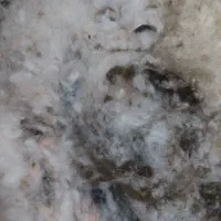 پنبه زنی در مهرشهر|تشک تختخواب|بیرجند, |دیوار