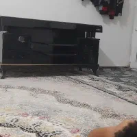 زیر تلویزیون کار کرده