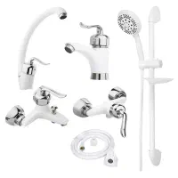 پک قاجاری ۱۰ عددی شیرالات سفیدکروم طبق عکس