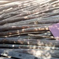 فروش و خرید انواع چوب ضایعاتی|عمده‌فروشی|تهران, یاخجی آباد|دیوار