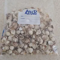 صدف دریایی ریز و درشت 300 گرم|صنایع دستی و سایر لوازم تزئینی|سنندج, |دیوار