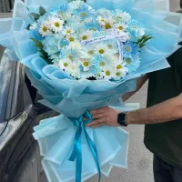 ماشین عروس