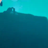 موکت رایگان|موکت|مهاباد (آذربایجان غربی), |دیوار