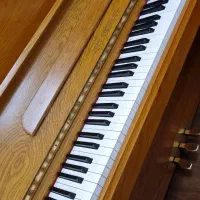 پیانو آکوستیک سمیک samic مدل الکس اشتنباخ