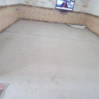 پالاز موکت|موکت|شوش, |دیوار