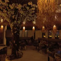 استخدام نیروی کاردرکافه رستوران