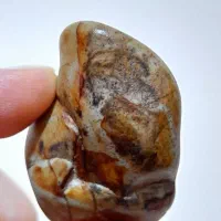 سنگ مصور شجر فسیلی روحانی