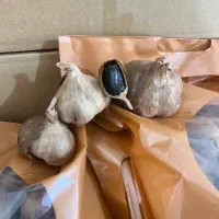 سیر سیاه اصل همدان به قیمت عمده فقط کیلویی ۳۹۰|خوردنی و آشامیدنی|تهران, ونک|دیوار